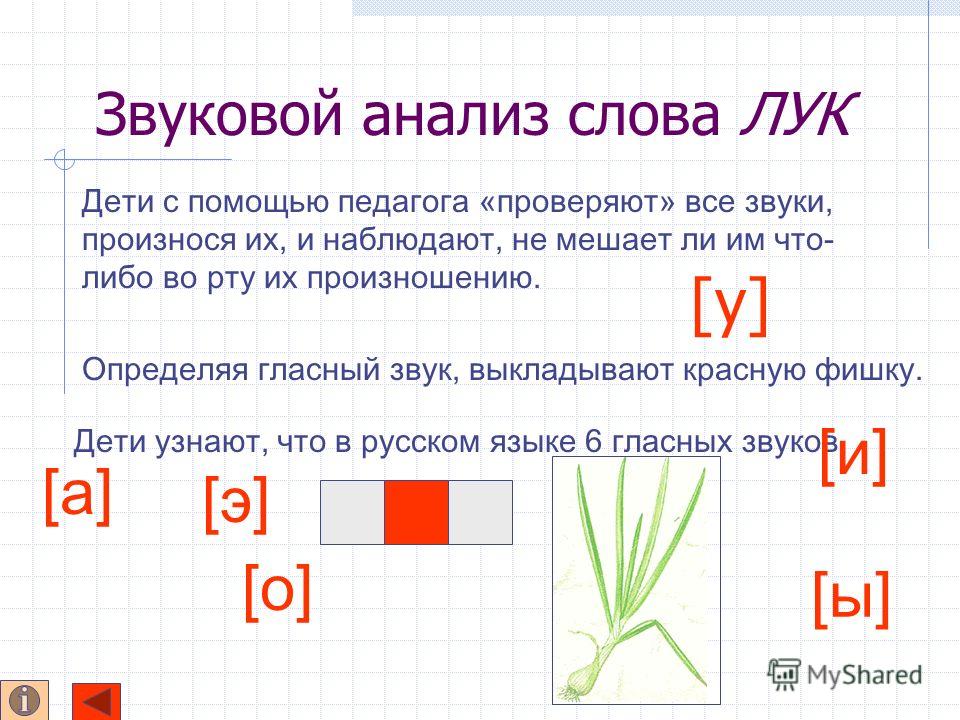 Как сделать стяжку не залив соседей Как сделать стяжку не залив соседей