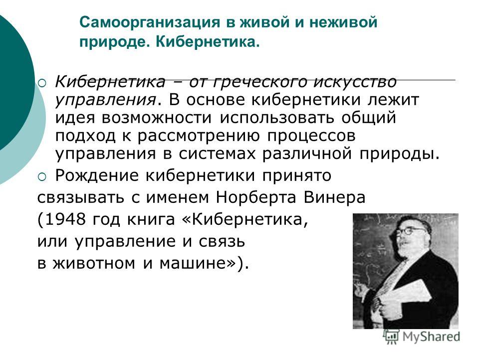Самоорганизация В Живой И Не Живой Природе Шпаргалка Шпаргалка не живой живой и природе самоорганизация в