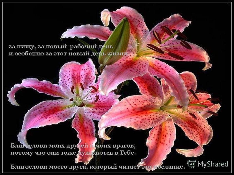 Вторая жизнь вещей / что можно сделать из старых 2 Вторая жизнь вещей / что можно сделать из старых 21