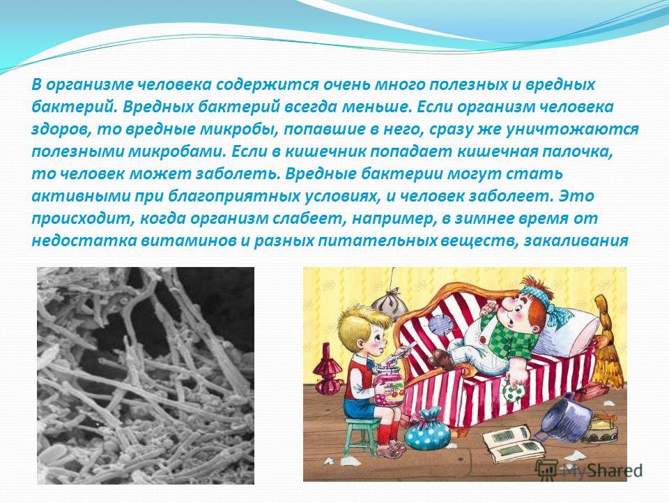 Почему в природе не бывает вредных организмов 5 класс Почему в природе не бывает вредных организмов 5 класс