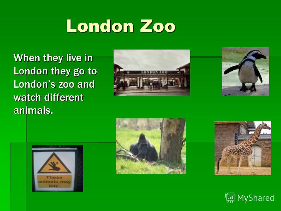 London Zoo London Zoo When they live in London they go to Londons zoo and watch different animals.