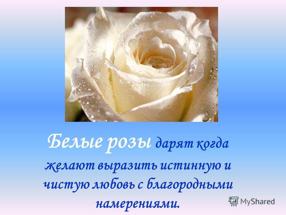 Приметы о подаренных розах Приметы о подаренных розах