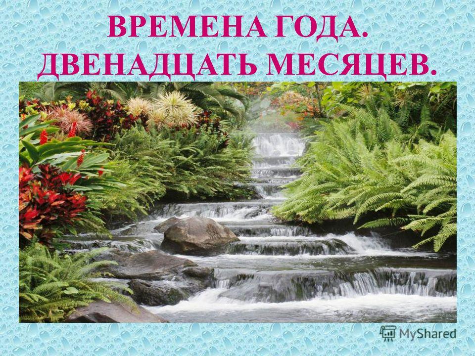Погода в г г.уссурийске на 10 дней