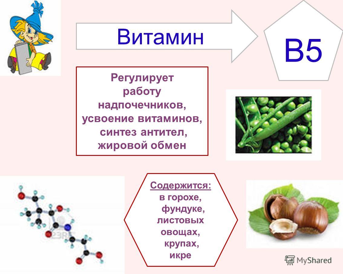 B5 Регулирует работу надпочечников, усвоение витаминов, синтез антител, жировой обмен Содержится: в горохе, фундуке, листовых овощах, крупах, икре