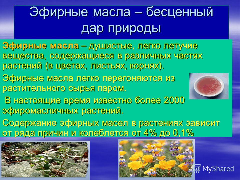 Цитрусовое масло Цитрусовое масло