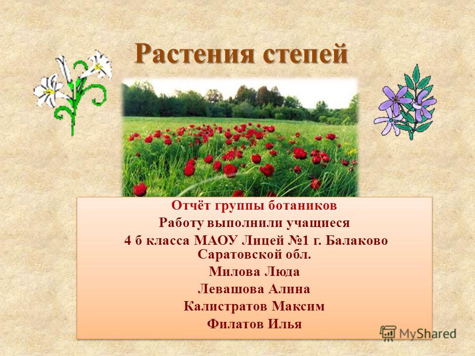 Доклад на тему растения степи 3917