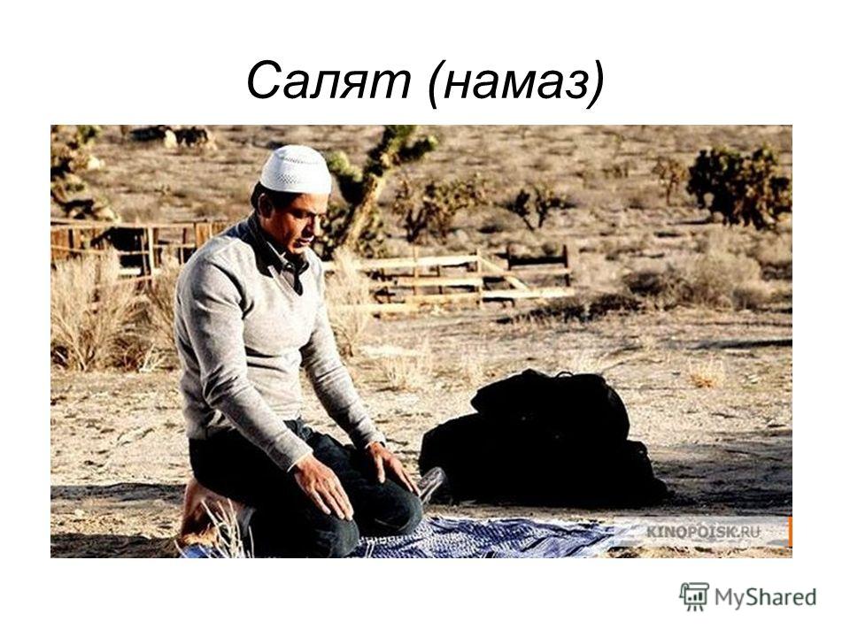 http://images.myshared.ru/5/422986/slide_19.jpg