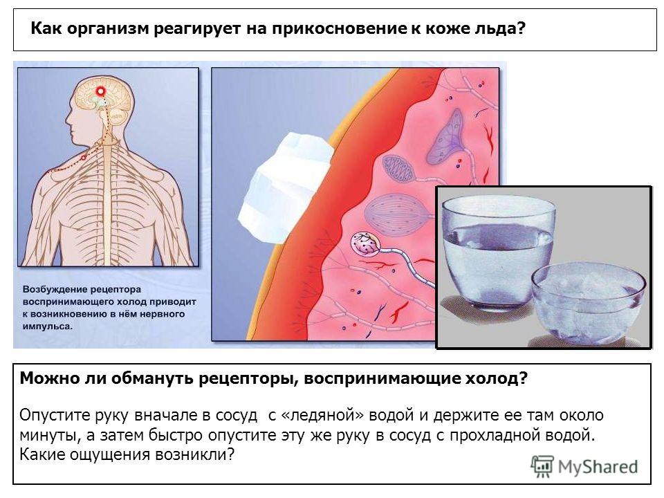 При прикосновении болит вся кожа на теле При прикосновении болит вся кожа на теле