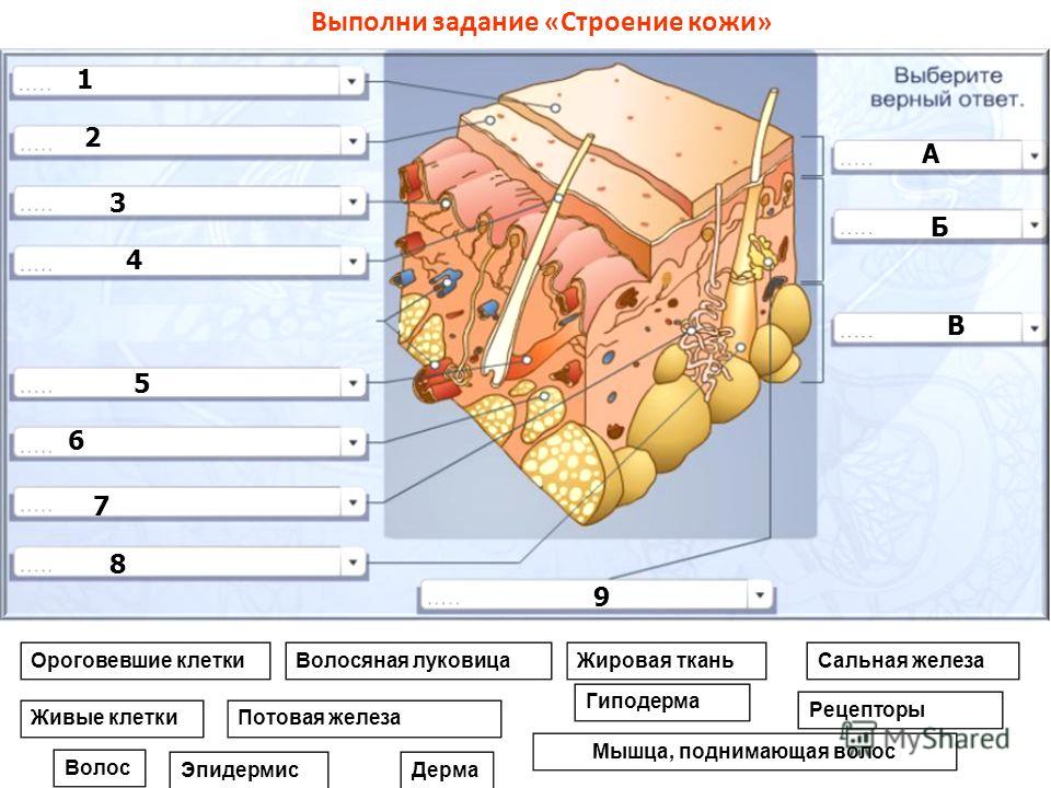 Курсы косметолога в Москве, обучение, перманентный макияж Китай. Государственное устройство. Правовая система