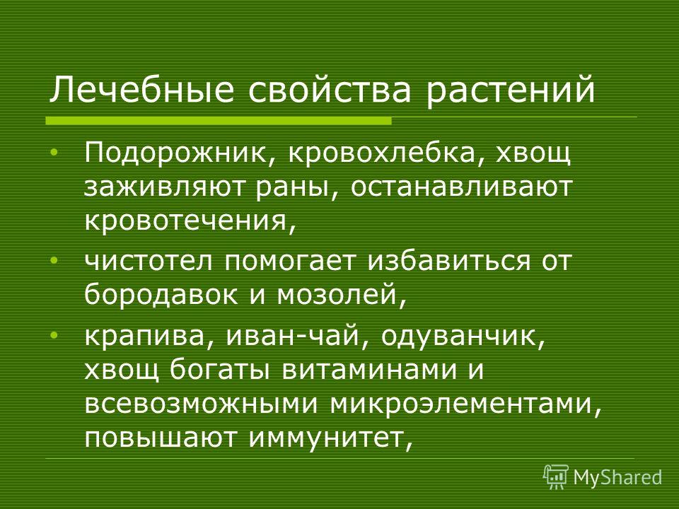 Одуванчик как сделать чай Одуванчик как сделать чай