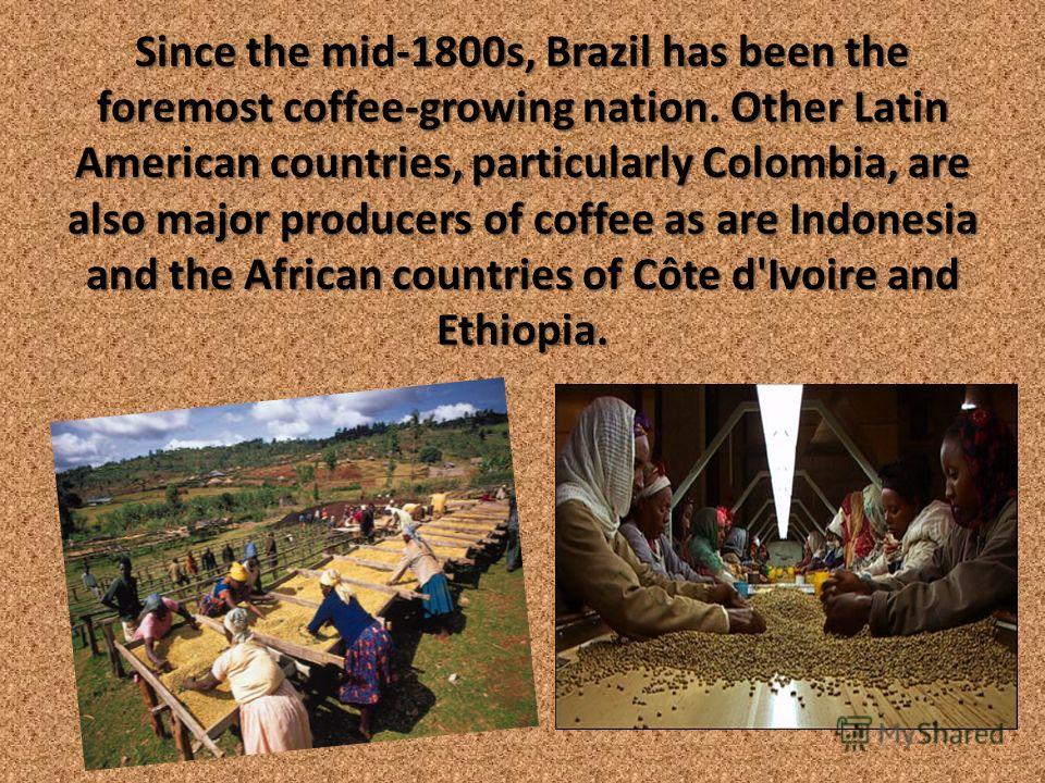 Since the mid-1800s, Brazil has been the foremost coffee-growing nation. Other Latin American countries, particularly Colombia, are also major producers of coffee as are Indonesia and the African countries of Côte d'Ivoire and Ethiopia.