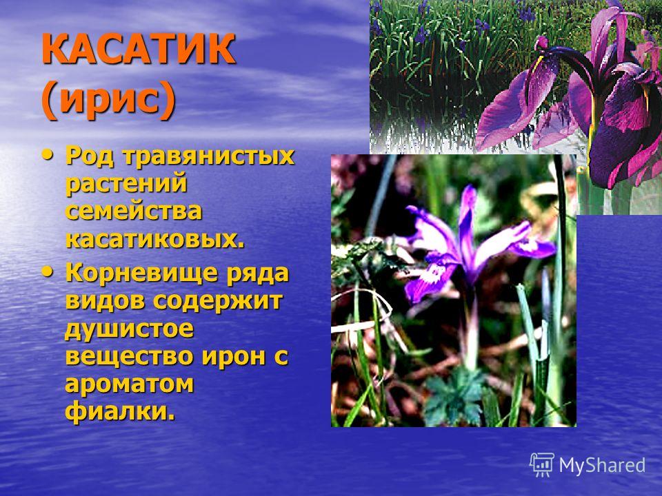 Все афоризмы фиделя кастро Все афоризмы фиделя кастро