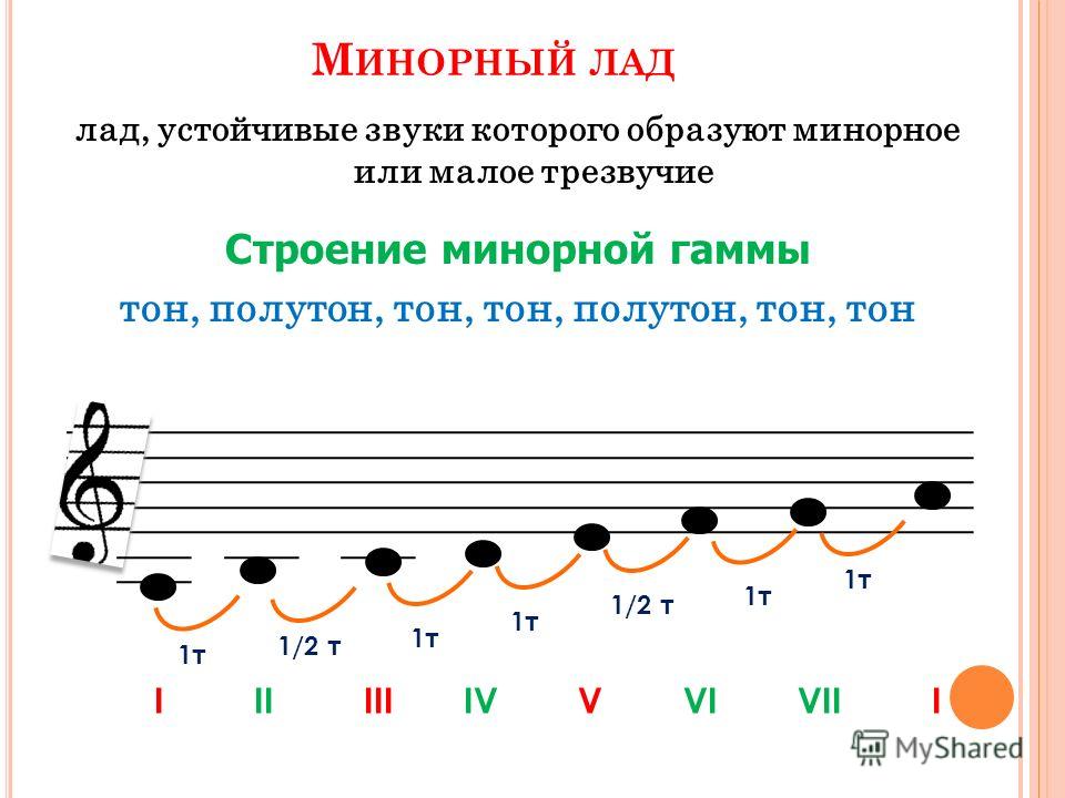 порно в коледжах hd