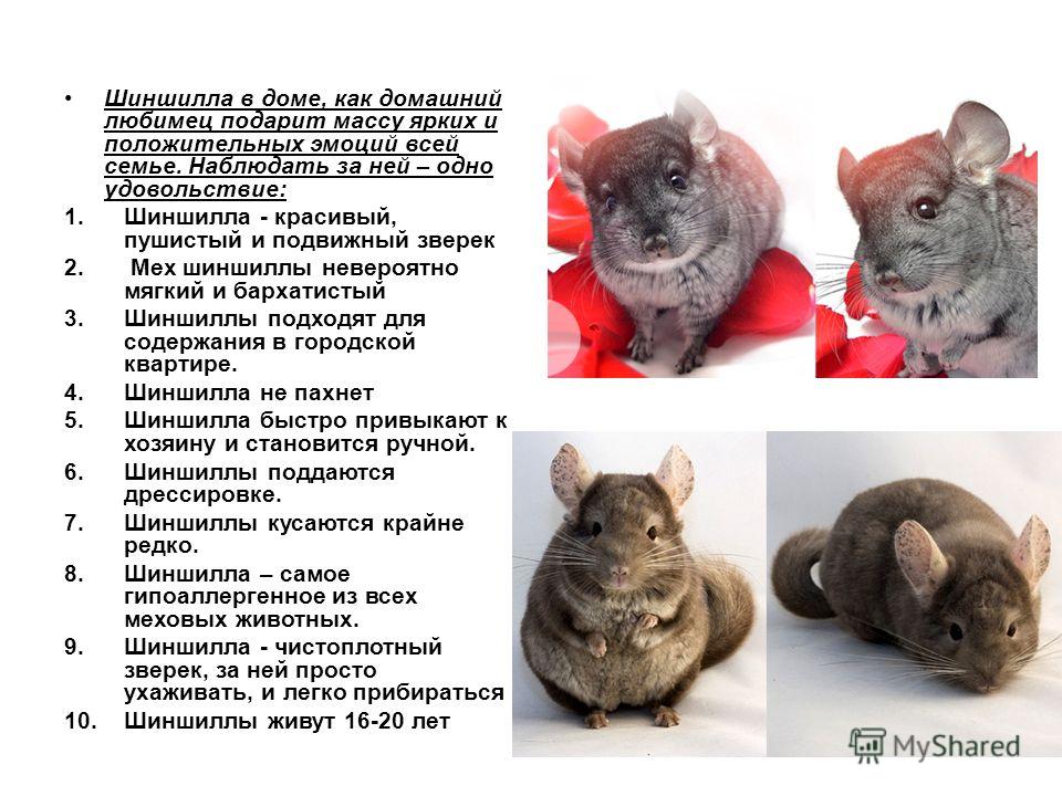 Нож для минитрактора своими руками Нож для минитрактора своими руками