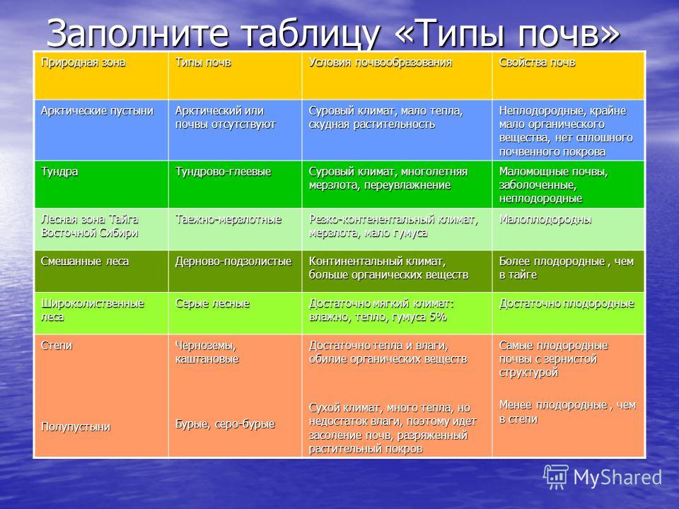 Реферат: Условия почвообразования 2