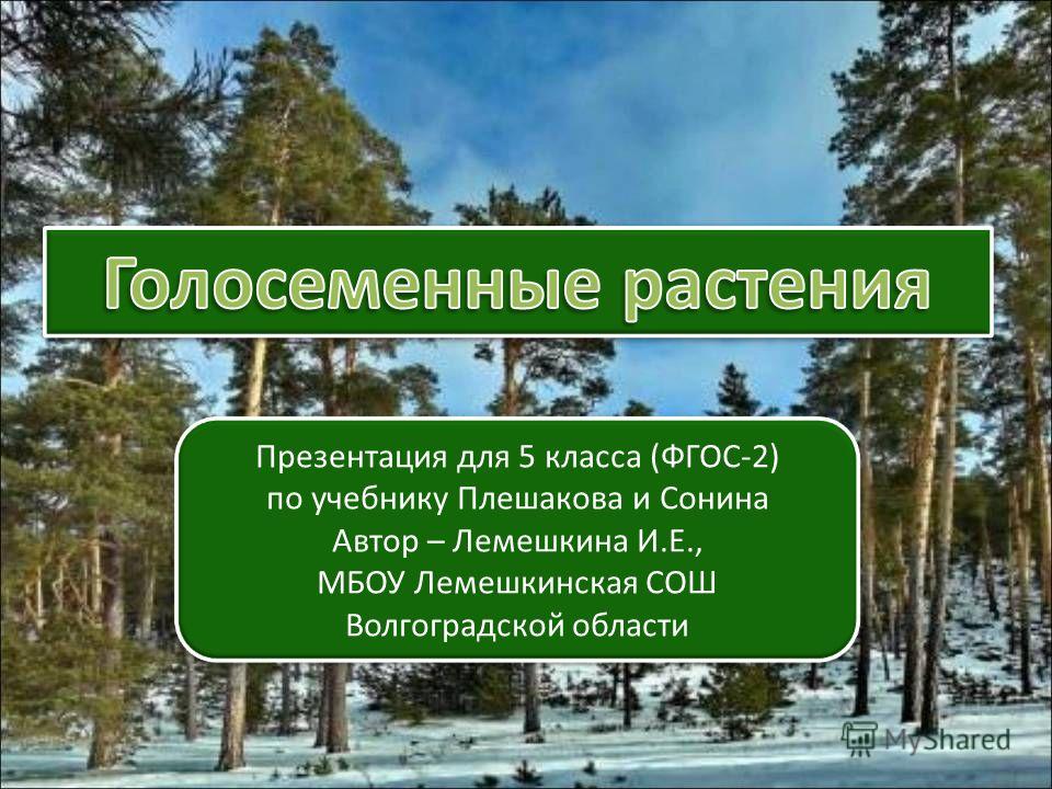 Читать стихи и сказки в.торопыгина