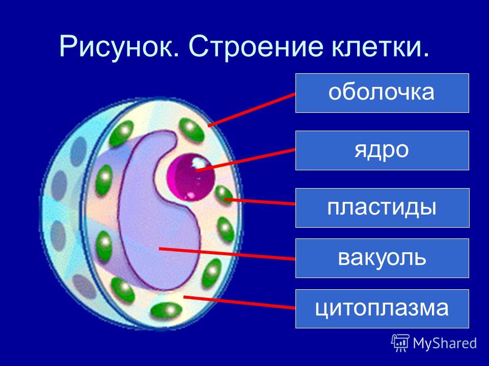 Маленькие катушки тесла Маленькие катушки тесла