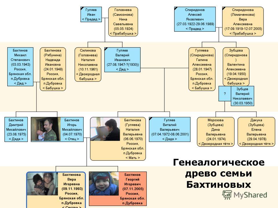 Скачать генеалогическое древо программа бесплатно