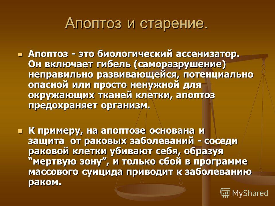 pdf система сми практикум направление подготовки 420302 журналистика профили подготовки печатные сми и новые медиа телевидение и радиовещание бакалавриат