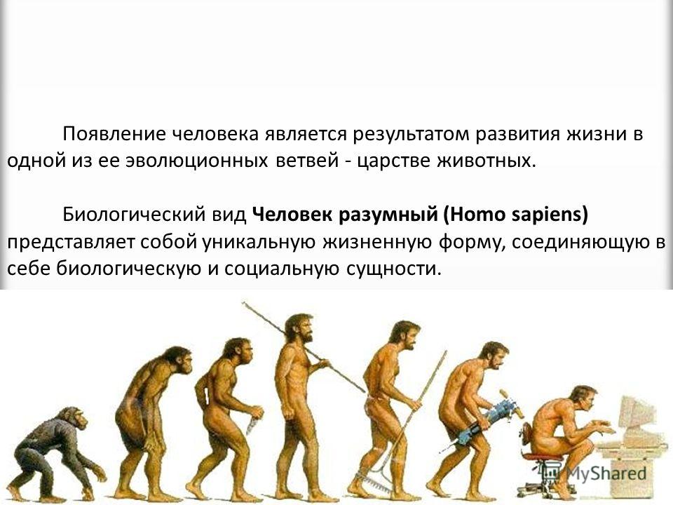 Почему человек считается биосоциальным видом Почему человек считается биосоциальным видом