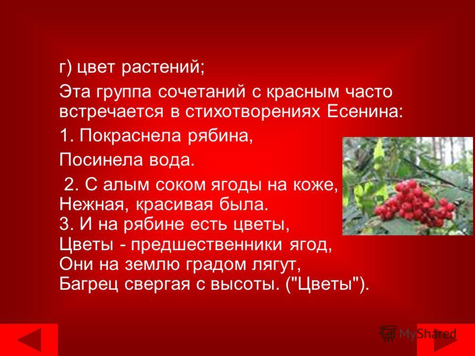 Красный цветок. Поэзия (Эзотерические стихи) - Изба-читальня Красный цветок. Стихи и тексты песен автора Яся Федосеева на