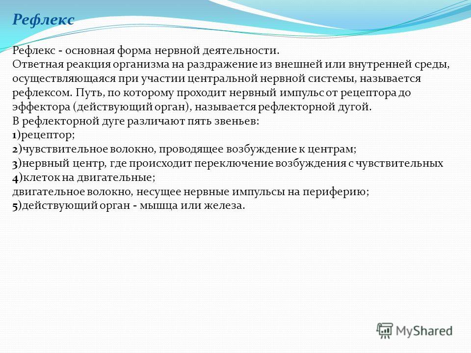 Строение сердца и работа сердца человека