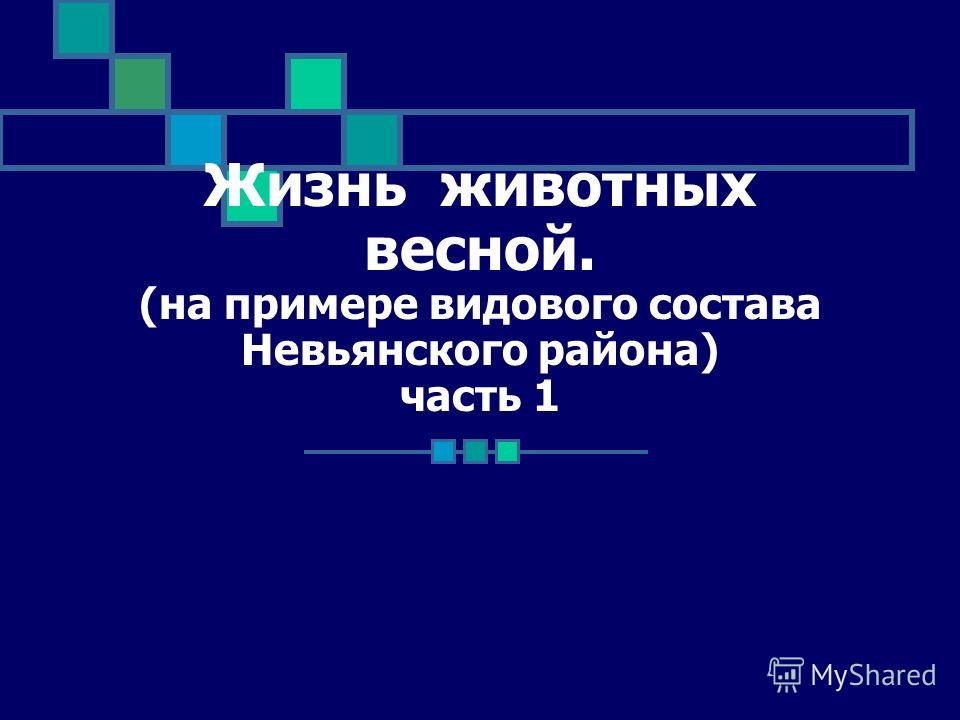 Картинки о зверях весной Картинки о зверях весной