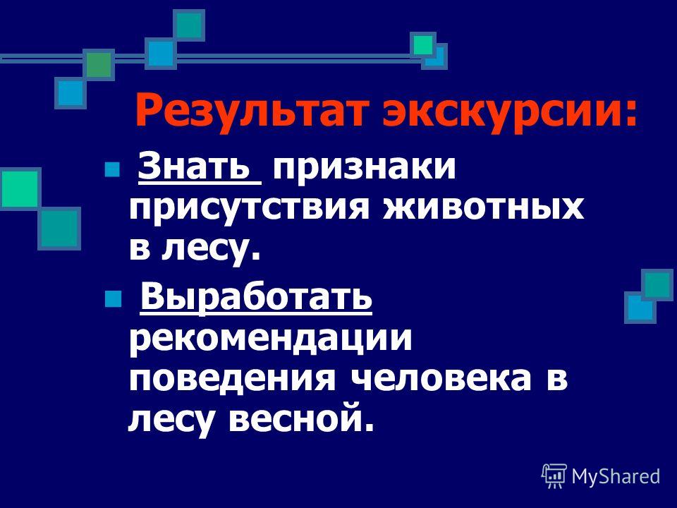 Картинки о зверях весной Картинки о зверях весной