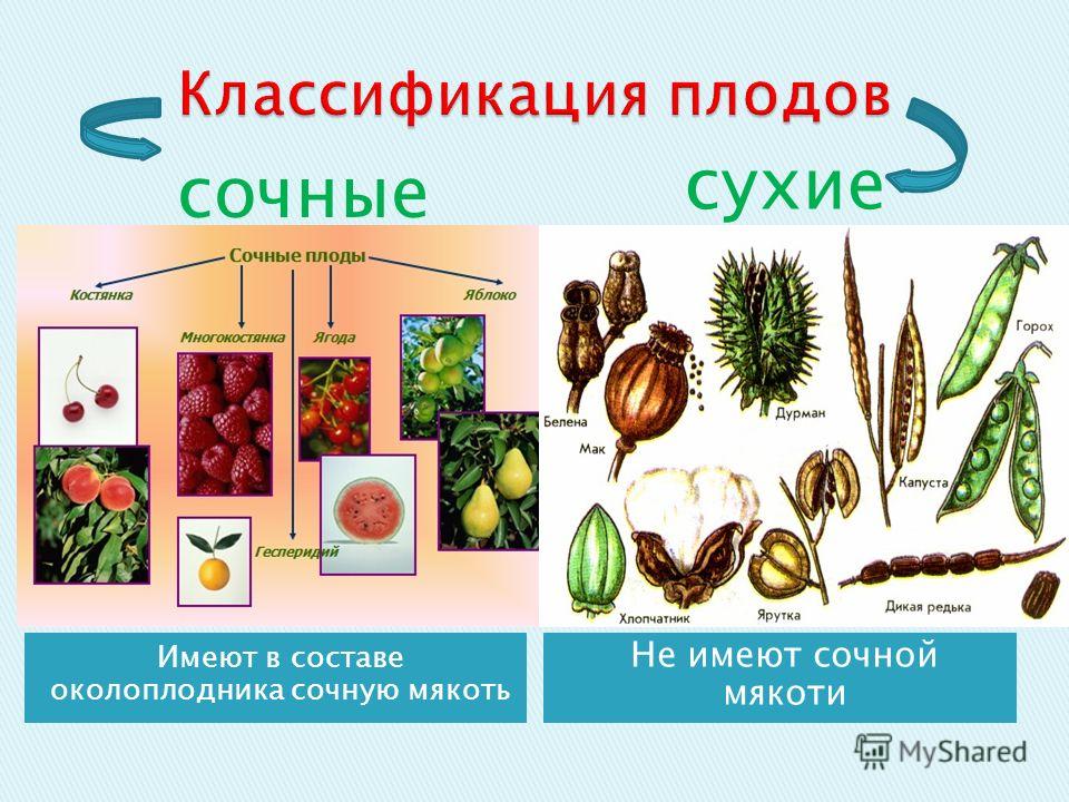 Сочная большая попа молодой девахи сзади