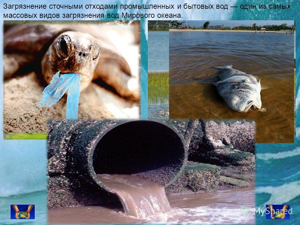 Проект загрязнение мирового океана 10 класс Экология. Green Peace Гринпис презентация, доклад, проект скачать