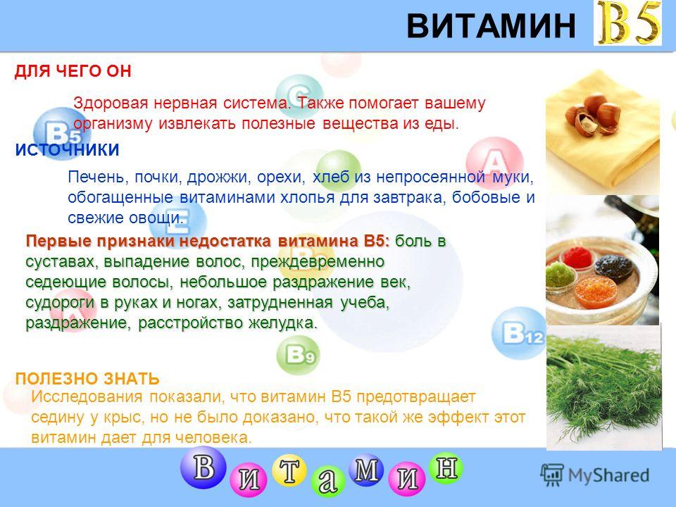 http://images.myshared.ru/5/425382/slide_9.jpg