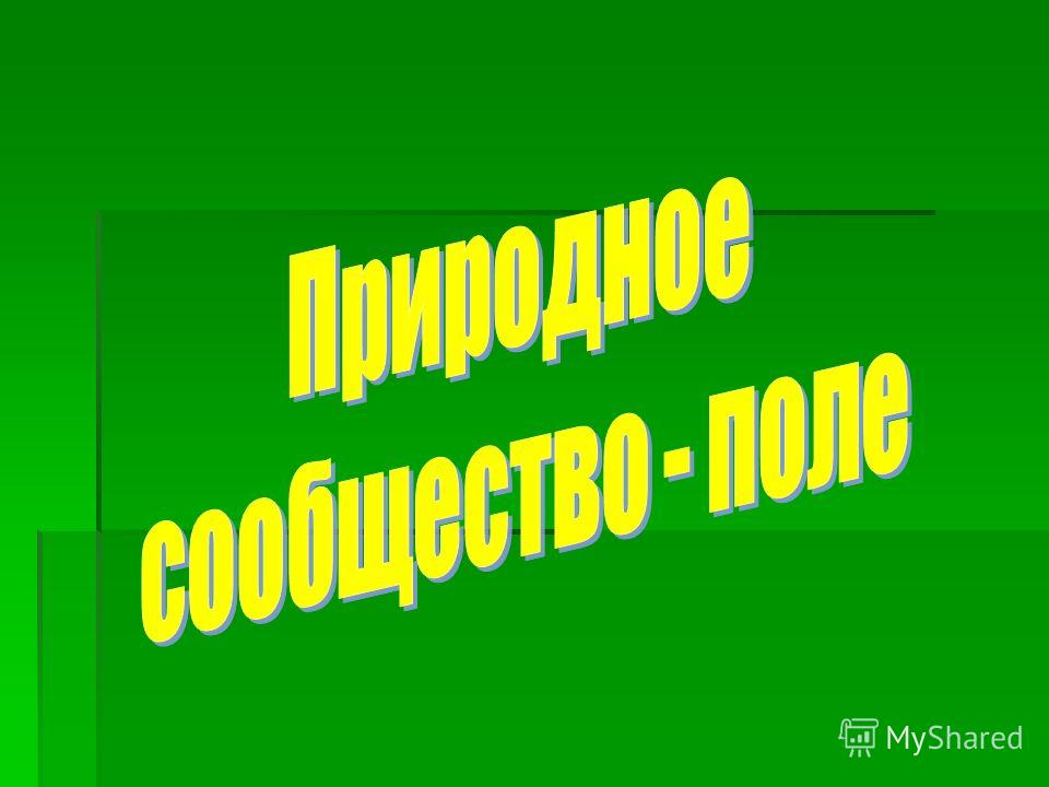 Мантурово костромская обл погода на