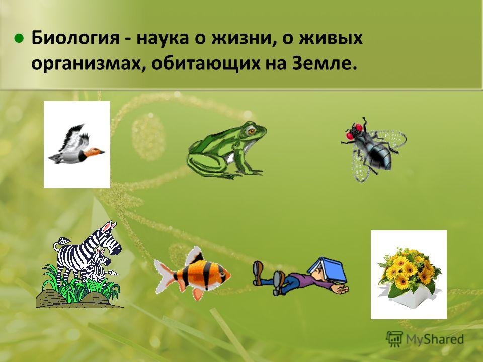 Биология - наука о жизни, о живых организмах, обитающих на Земле.