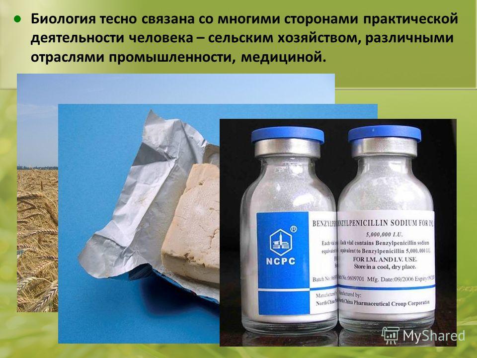 Связана со многими Связана со многими