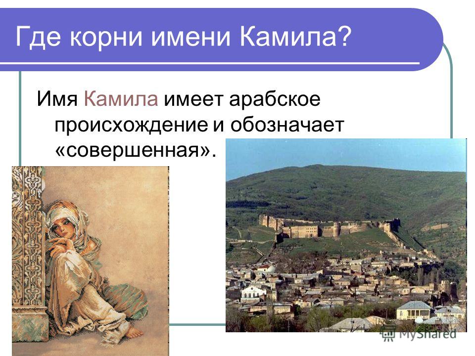 Значение имени камиль для мальчика