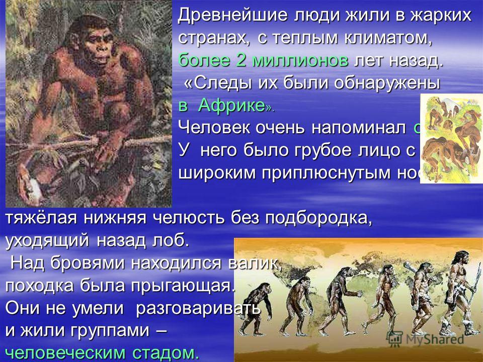 Реферат На Тему Первобытный Человек Реферат На Тему Первобытный Человек