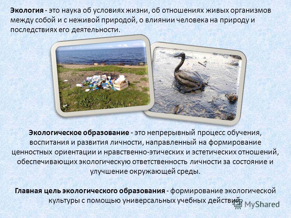 Реферат: Экологическое воспитание 2 Реферат: Экологическое воспитание 2