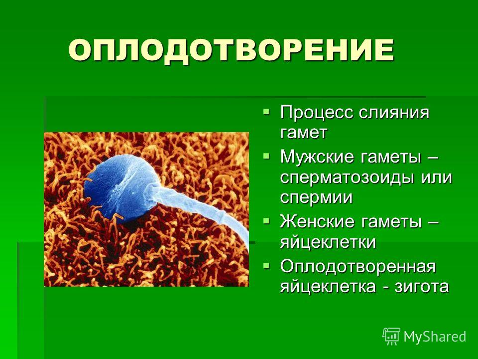 Как Украсить Дом Своими Руками Украшения своими руками Делаем оригинальные рождественские носки своими руками