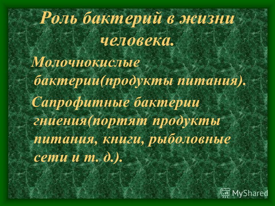 Звездные татуировки в честь детей Ветрянка у взрослых: детская болячка в солидном