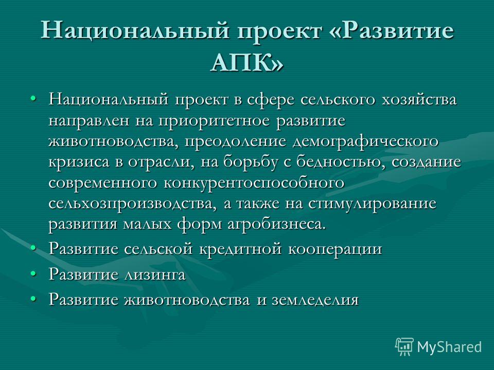 Концепция национальных проектов была сформулирована