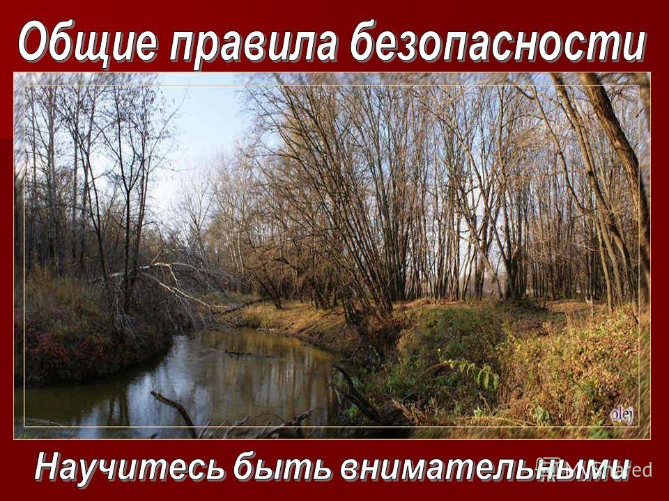 Опасности связанные с газом Опасности связанные с газом