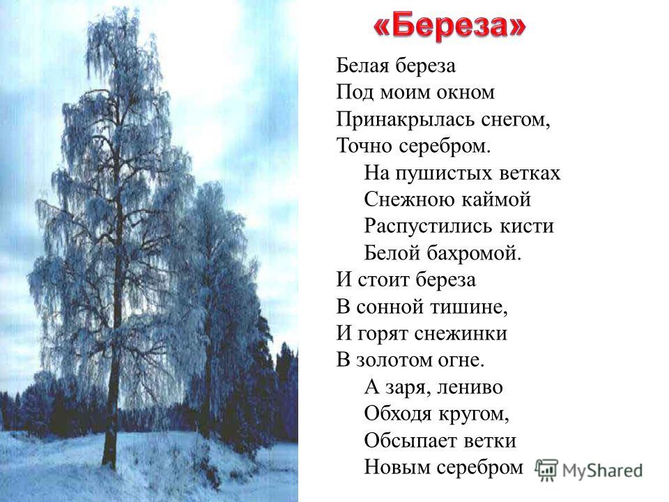 Красивое поздравление с Днем рождения! Оригинальный. - ОК Какую видеокарту для игр купить