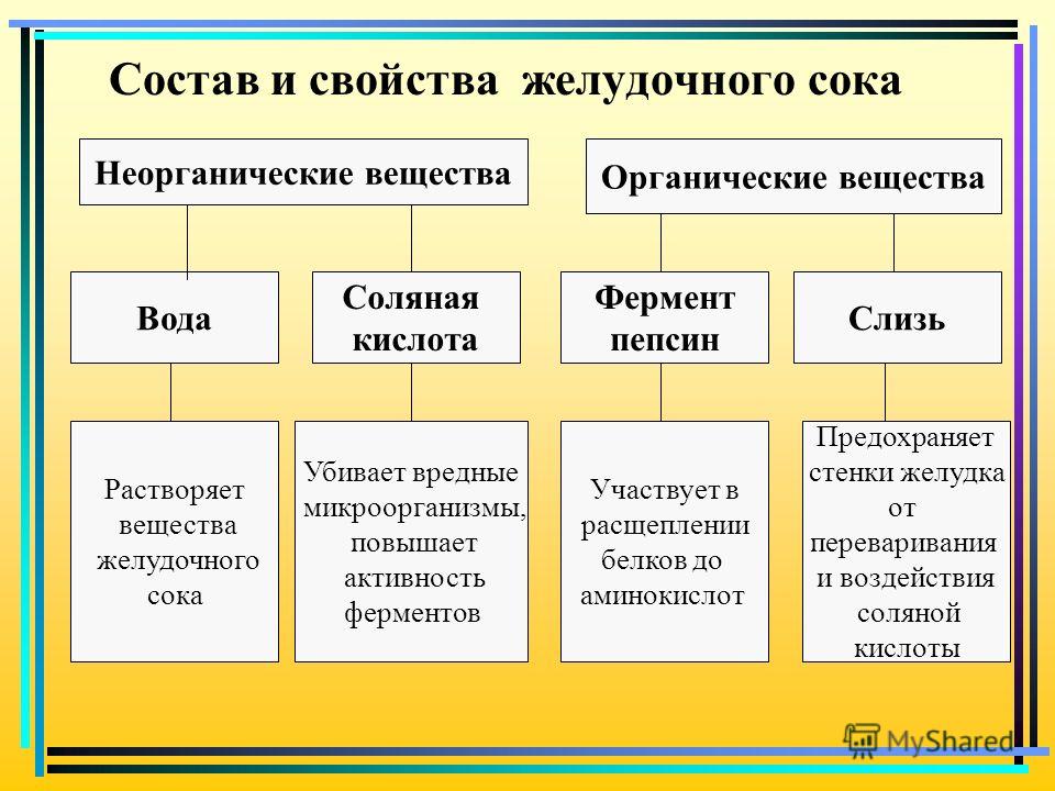 Выделения при возбуждении у женщин видео