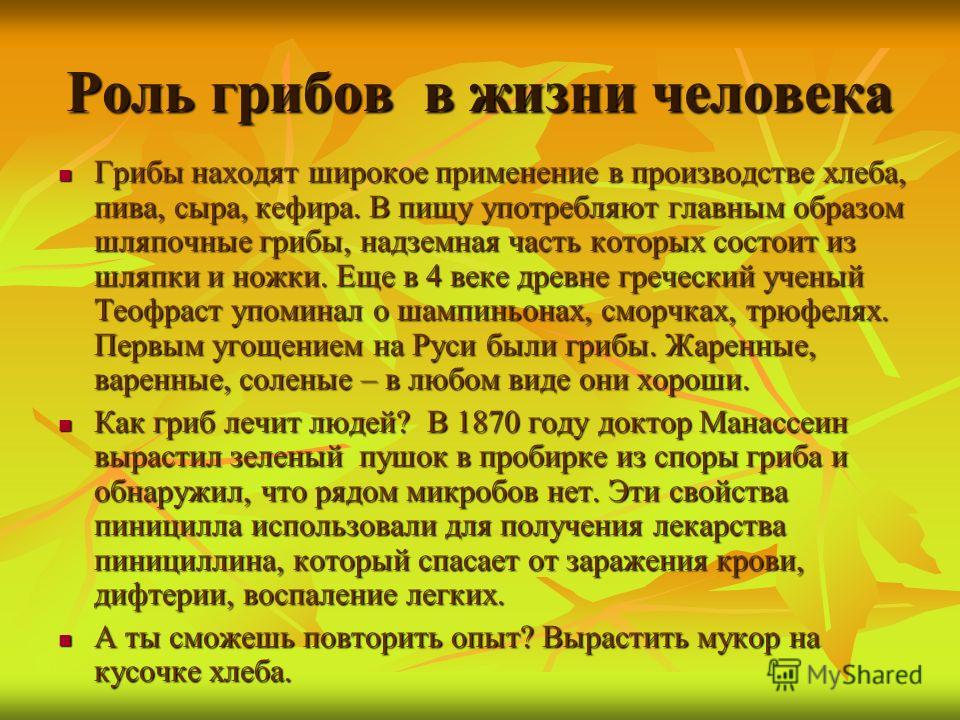 Доклад грибы в жизни человека 8050