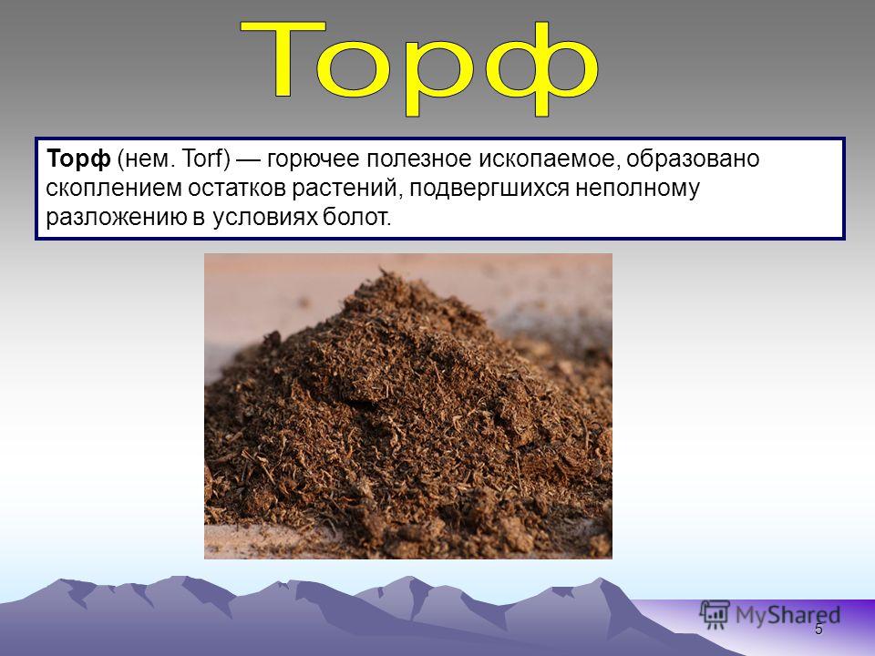 Торф в беларуси реферат 3 класс