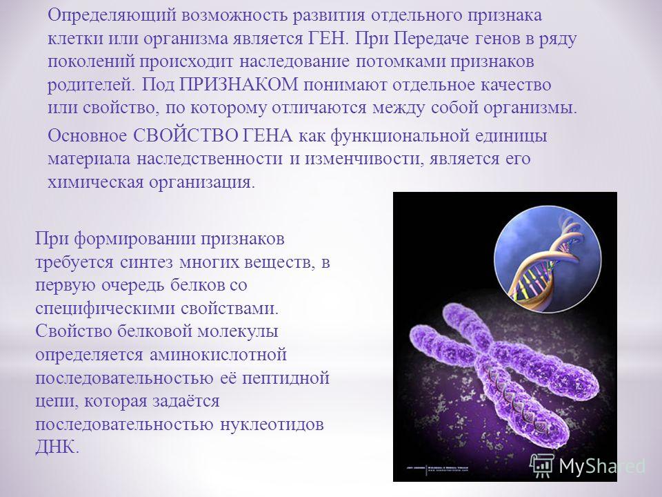 Днк И Наследственная Информация Реферат Днк И Наследственная Информация Реферат
