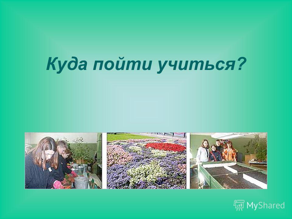 Куда пойти учиться графического дизайна Куда пойти учиться графического дизайна