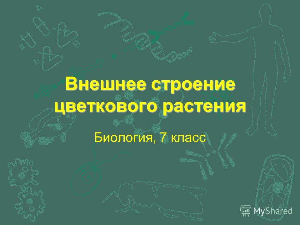 Методика расчета декретных в ГЦВП : Труд, зарплата и кадры Малыш в реанимации - обсуждение на форуме Ека-мама