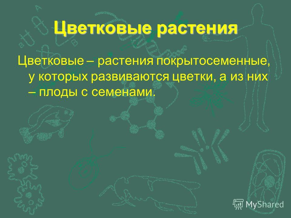 Лабораторный практикум по биологии растений на тему строение и разнообразие плодов 7 класс