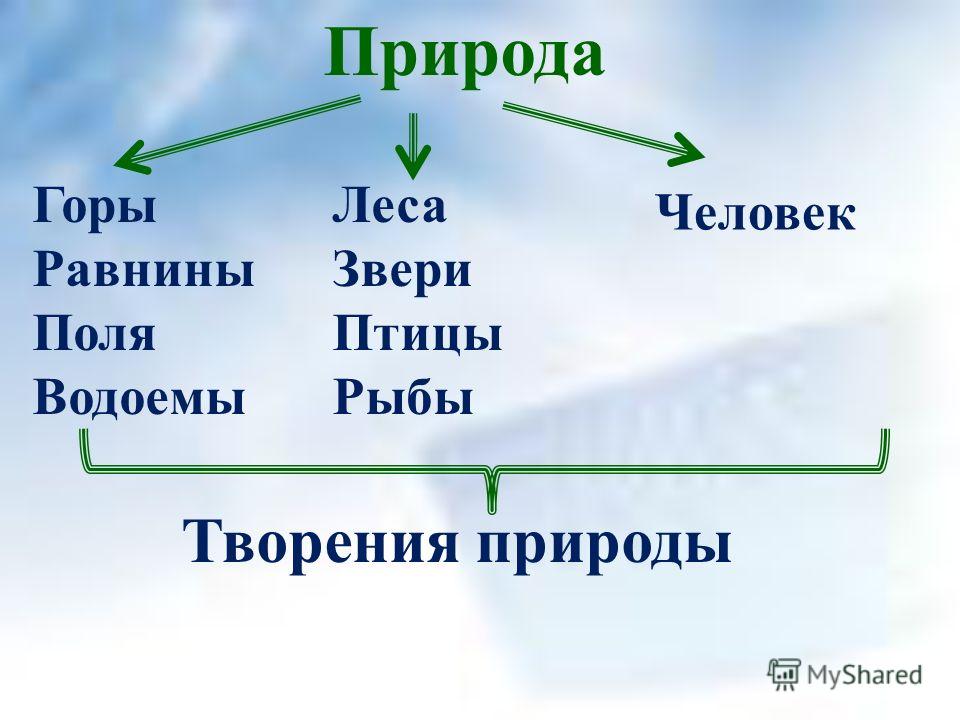 Картинки на тему наши встречи с природой Картинки на тему наши встречи с природой